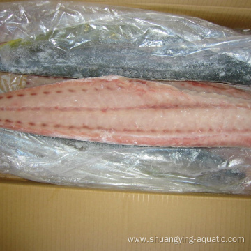 Frozen Mahi Mahi Fillet With Good Price